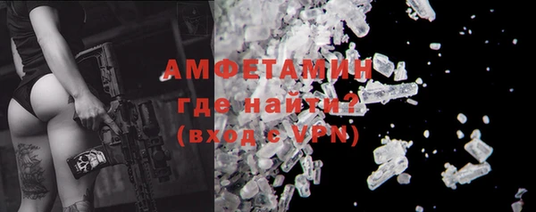 гидра Богородск