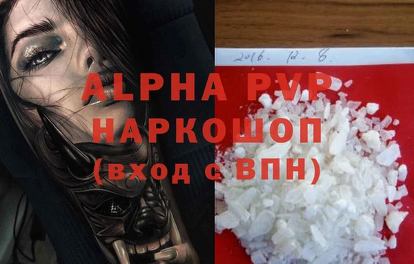 гидра Богородск