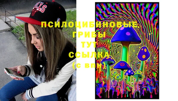 МДМА Богданович