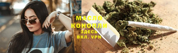 гидра Богородск