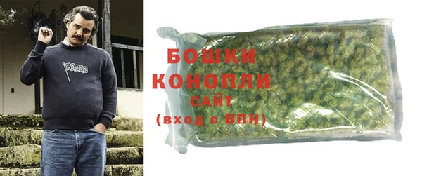 дмт Богородицк