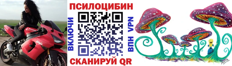 Псилоцибиновые грибы ЛСД  Купить где  Заинск 