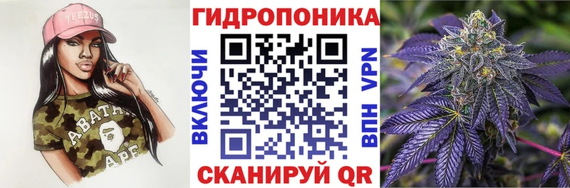 Купить  Заинск  Бошки марихуана индика 